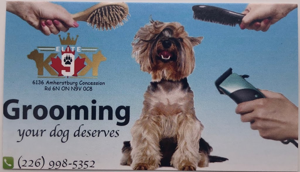 Elite K9K | 6136 Concession Rd 6 N, Amherstburg, ON N9V 0C8, Canada | Phone: (226) 787-1243