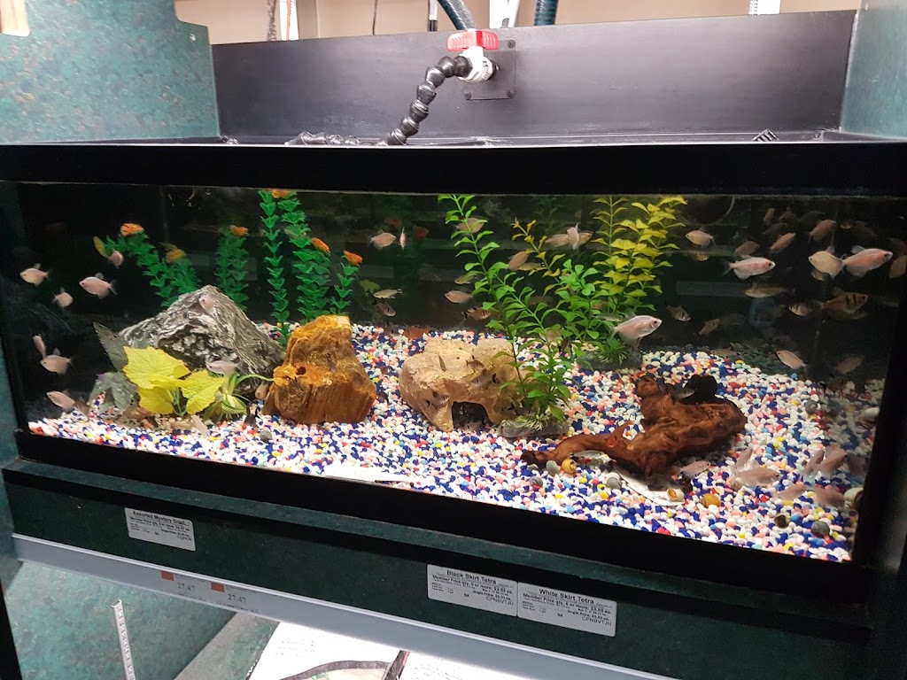 Petland Red Deer | 5250 22 St, Red Deer, AB T4R 2T4, Canada | Phone: (403) 309-4800