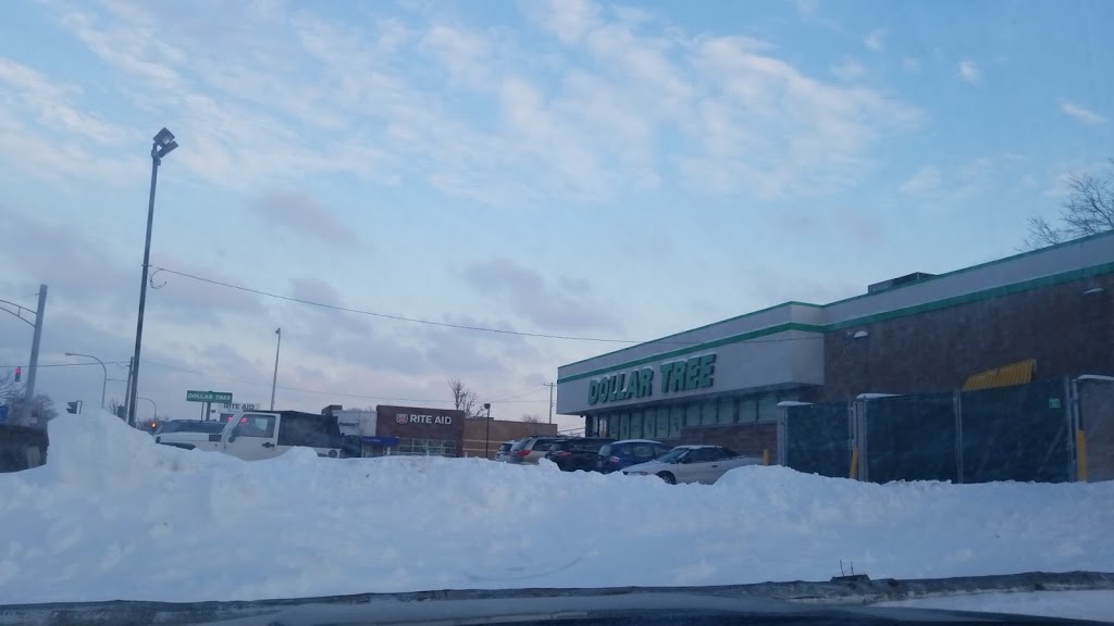 Dollar Tree | 2025 Sheridan Dr, Buffalo, NY 14223, USA | Phone: (716) 515-3128