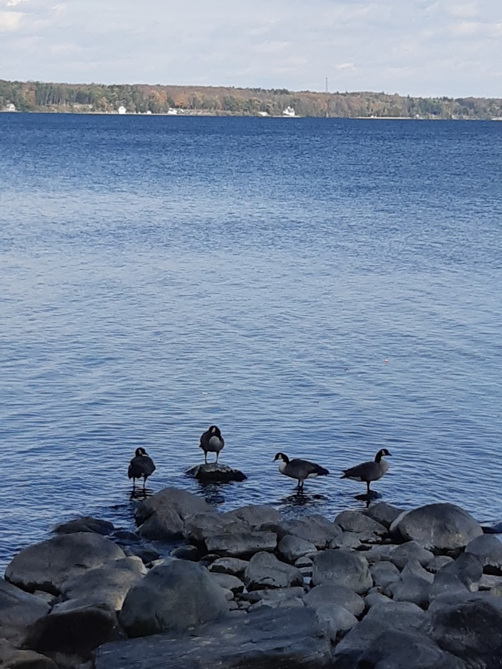 Tyndale Beach | 45 Tyndale Rd, Barrie, ON L4N 7T1, Canada | Phone: (705) 726-4242