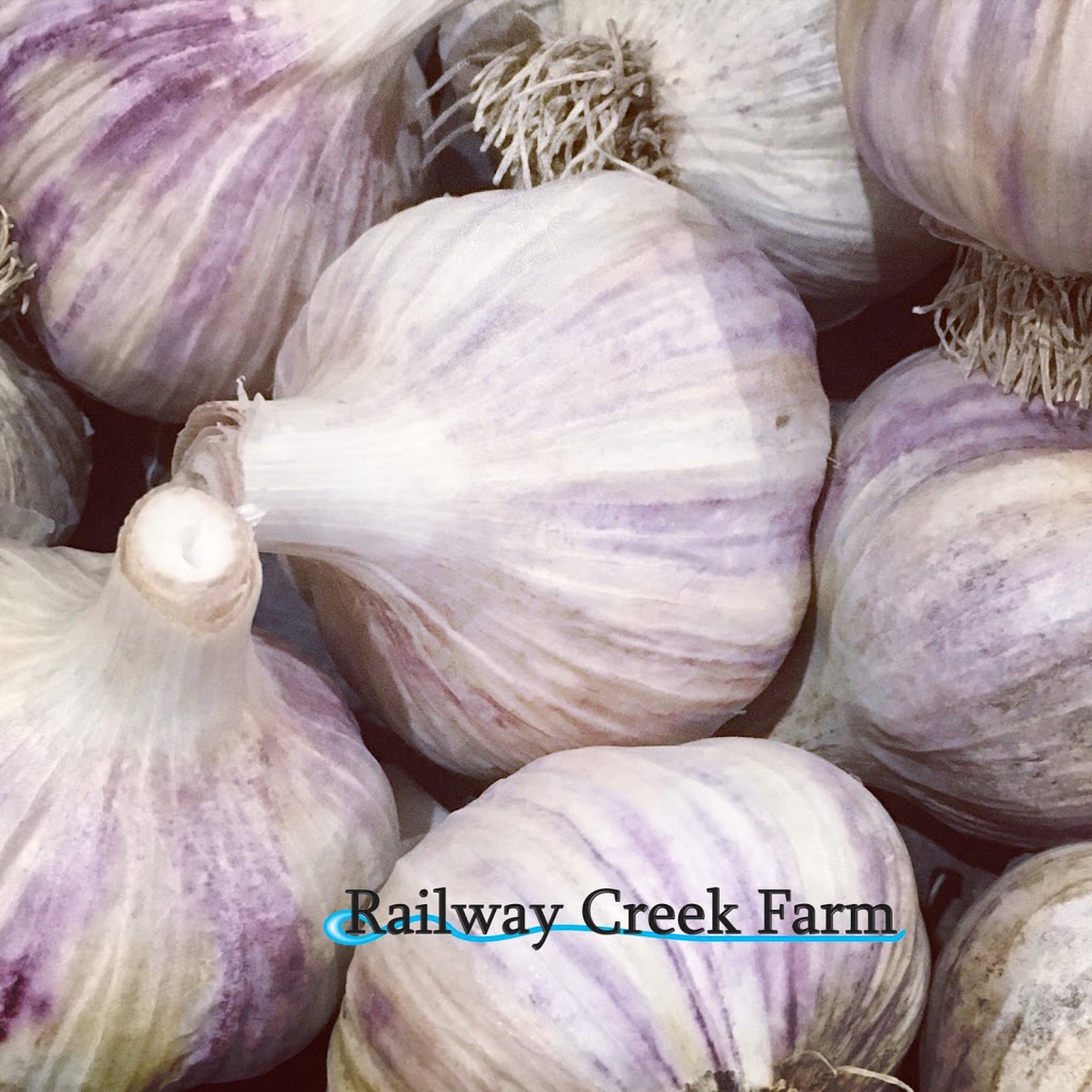 Railway Creek Farm | 2601 Cooper Rd, Madoc, ON K0K 2K0, Canada | Phone: (613) 813-3918