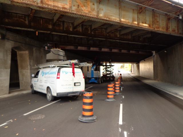 Pigeon Guard | 1 1/2 Birchmount Rd, Scarborough, ON M1N 3J3, Canada | Phone: (416) 690-0407