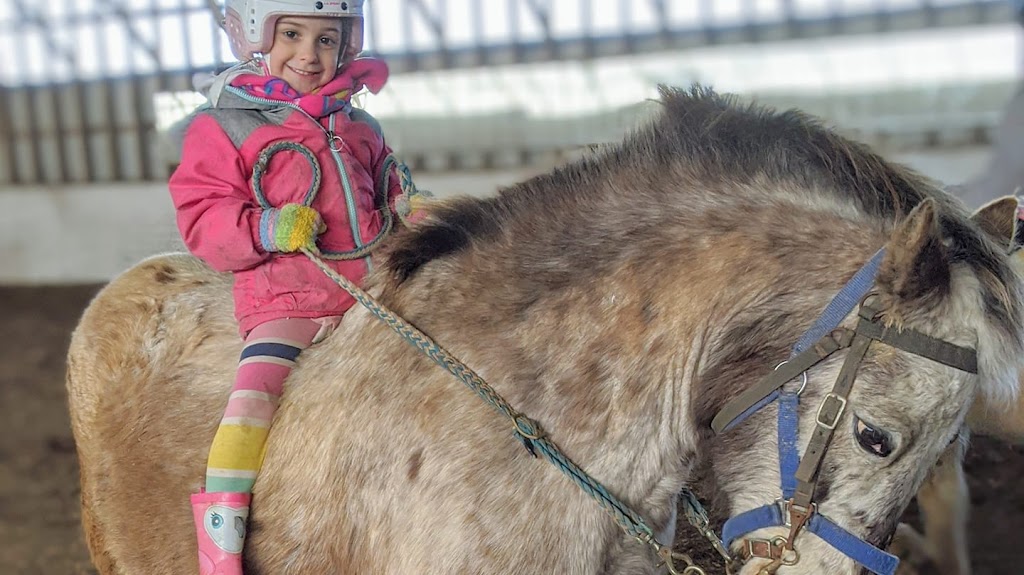 Equestrian Center Cl | 1135 Rue Pernaud, Saint-Lin - Laurentides, QC J5M 1G9, Canada | Phone: (438) 993-9349