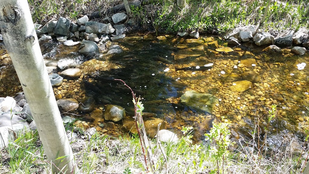 Maggs Park | 5-13 Beryl Dr, Logan Lake, BC V0K 1W0, Canada | Phone: (250) 523-6225
