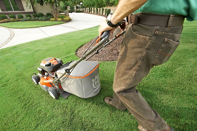 Orleans Landscaping Guys | 500 Canteval Terrace Unit 106, Orléans, ON K4A 2E8, Canada | Phone: (613) 927-9647