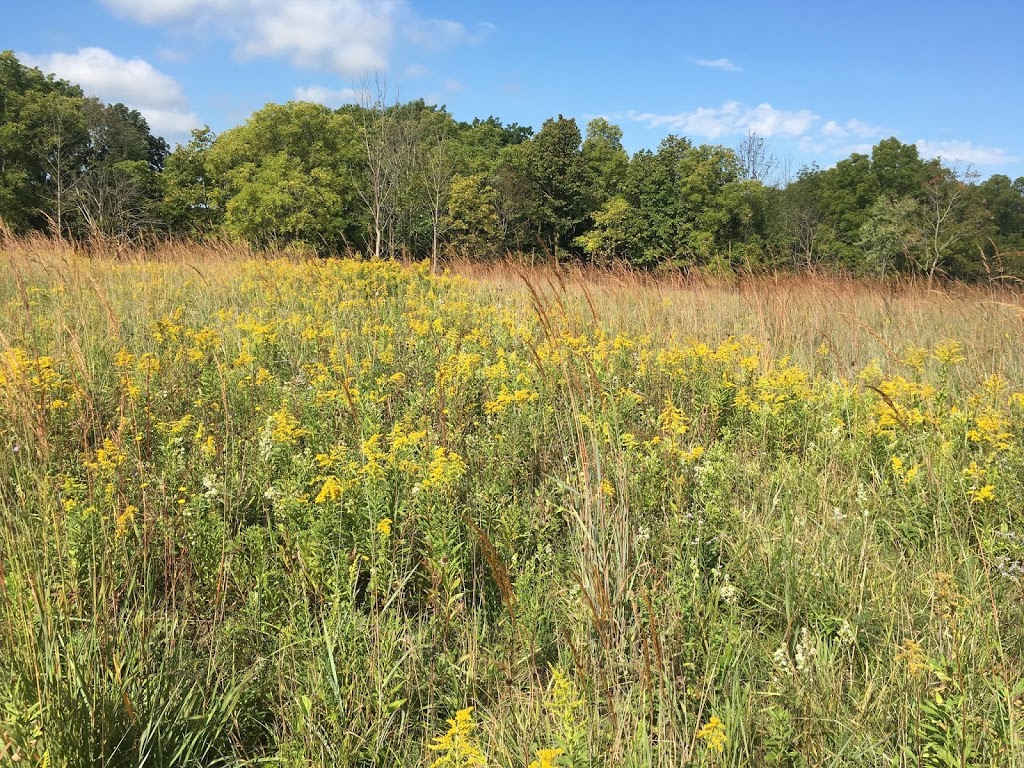 McMaster Conservation Corridor | Monarch Trail, Hamilton, ON L9H 5E3, Canada
