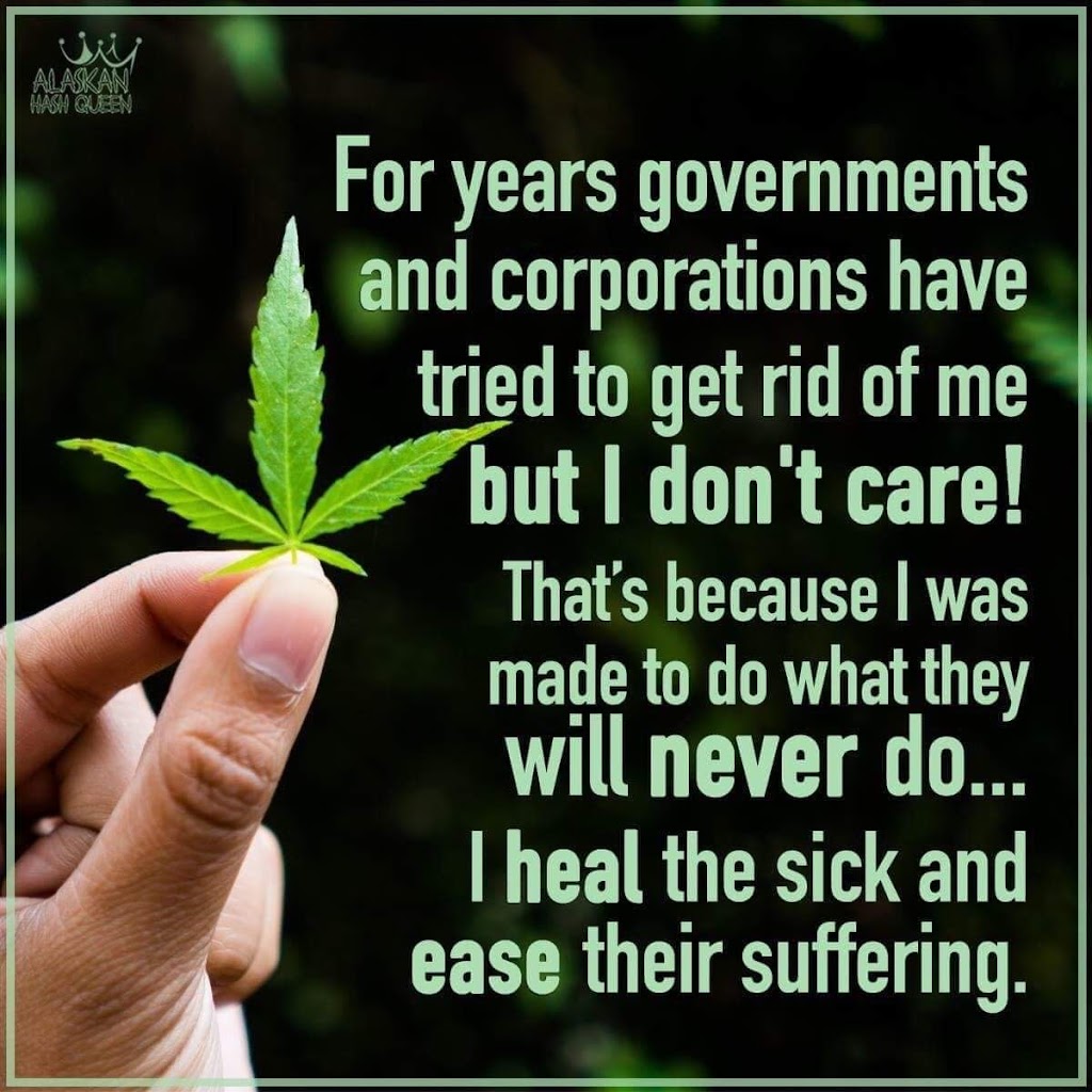 Medic Leafs | 315182, ON-6, Durham, ON N0H 1G0, Canada | Phone: (416) 770-6447