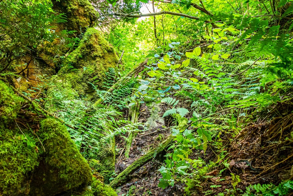 Greig`s Caves | 407 Scenic Caves Rd, Lions Head, ON N0H 1W0, Canada | Phone: (519) 377-8762