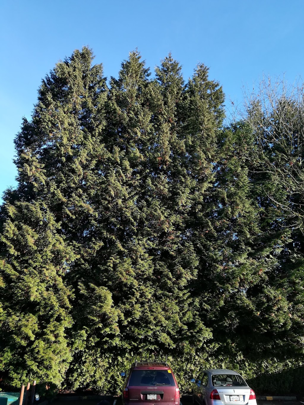 Dacre Park | 2884 Dacre Ave, Coquitlam, BC V3C 4H9, Canada | Phone: (604) 927-3000