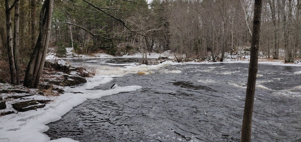 Price Conservation Area | 108608 Hwy 7, Tweed, ON K0K, Canada | Phone: (613) 968-3434