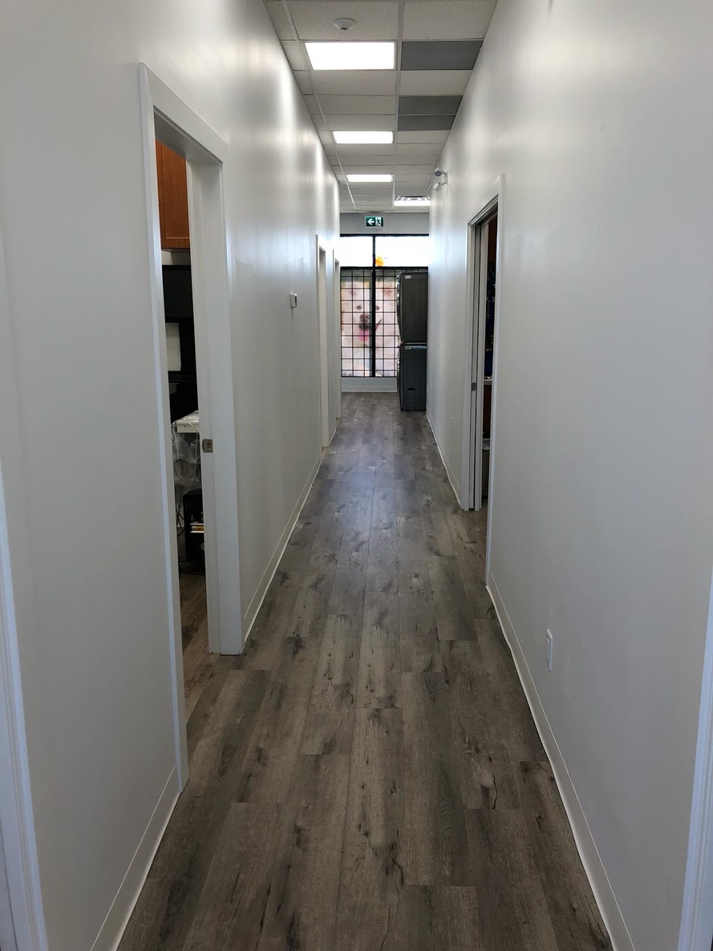 Snowden Animal Hospital - Cloverdale Surrey BC | 6385 168 St Unit # 111, Surrey, BC V3S 3Y2, Canada | Phone: (604) 579-0986