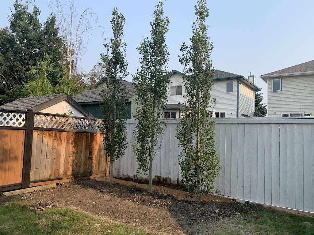 Vollmin Trees | 261043 Range Rd 24, Calgary, AB T3R 1E3, Canada | Phone: (403) 860-6957