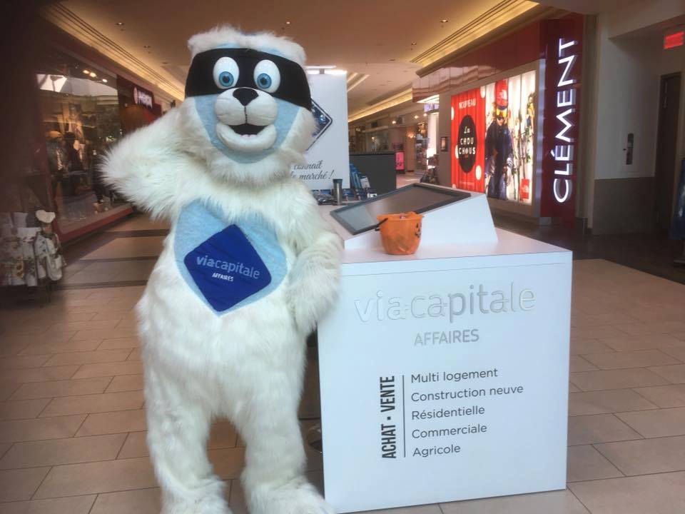 Via Capitale Affaires | 1906 Rue Des Cascades O, Saint-Hyacinthe, QC J2S 3J5, Canada | Phone: (450) 250-0555