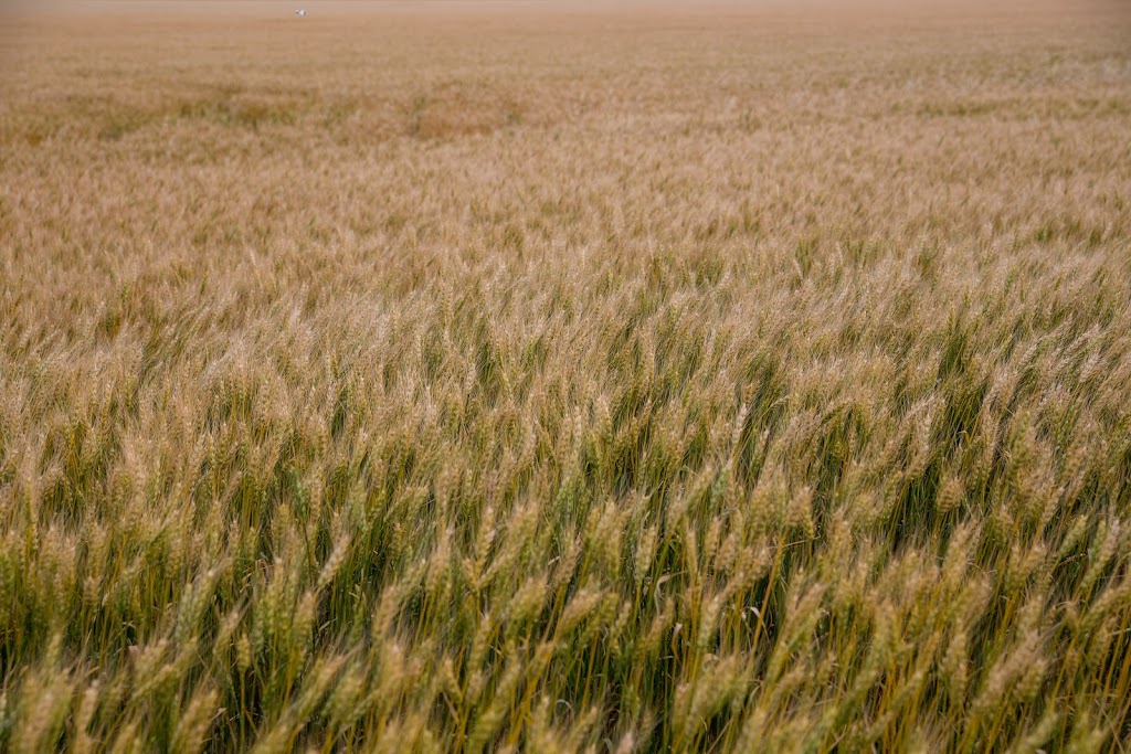 Holmes Agro | 1042 Klondike Park Rd, Stayner, ON L0M 1S0, Canada | Phone: (705) 428-4444