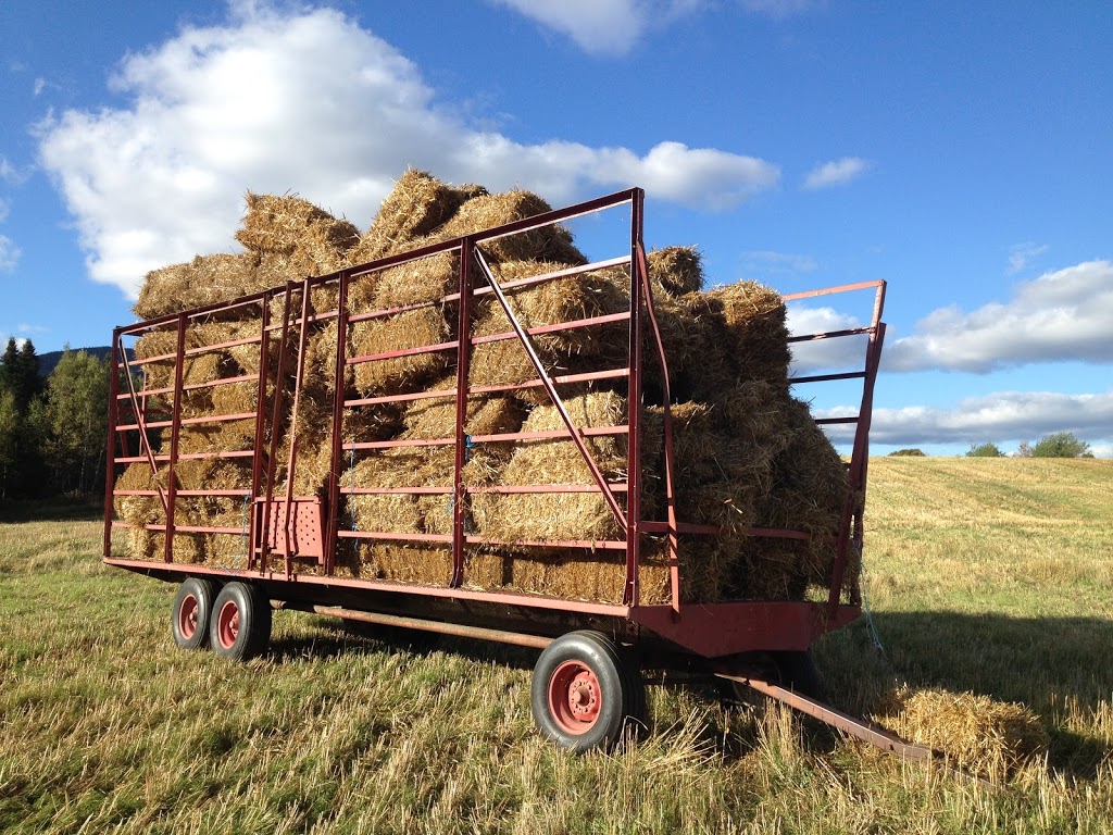 Ferme Terre et Vent | 139 Route du Parc, Notre-Dame-des-Bois, QC J0B 2E0, Canada | Phone: (819) 888-2715