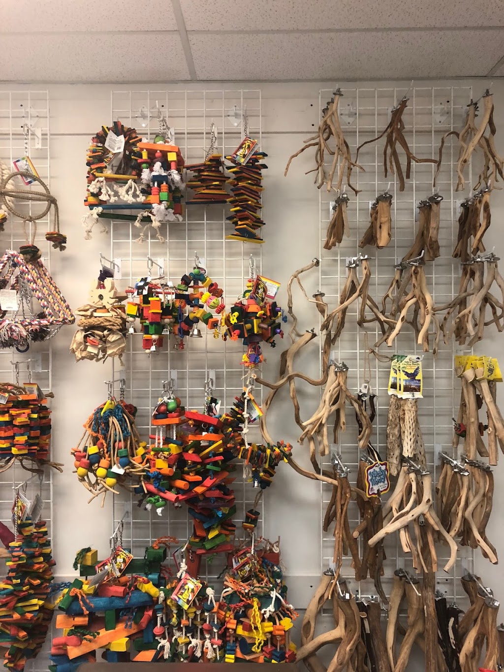 Feathered Addictions Bird and Small Animal Supplies | 1515 Broadway St Unit 600, Port Coquitlam, BC V3C 6M2, Canada | Phone: (778) 908-1705