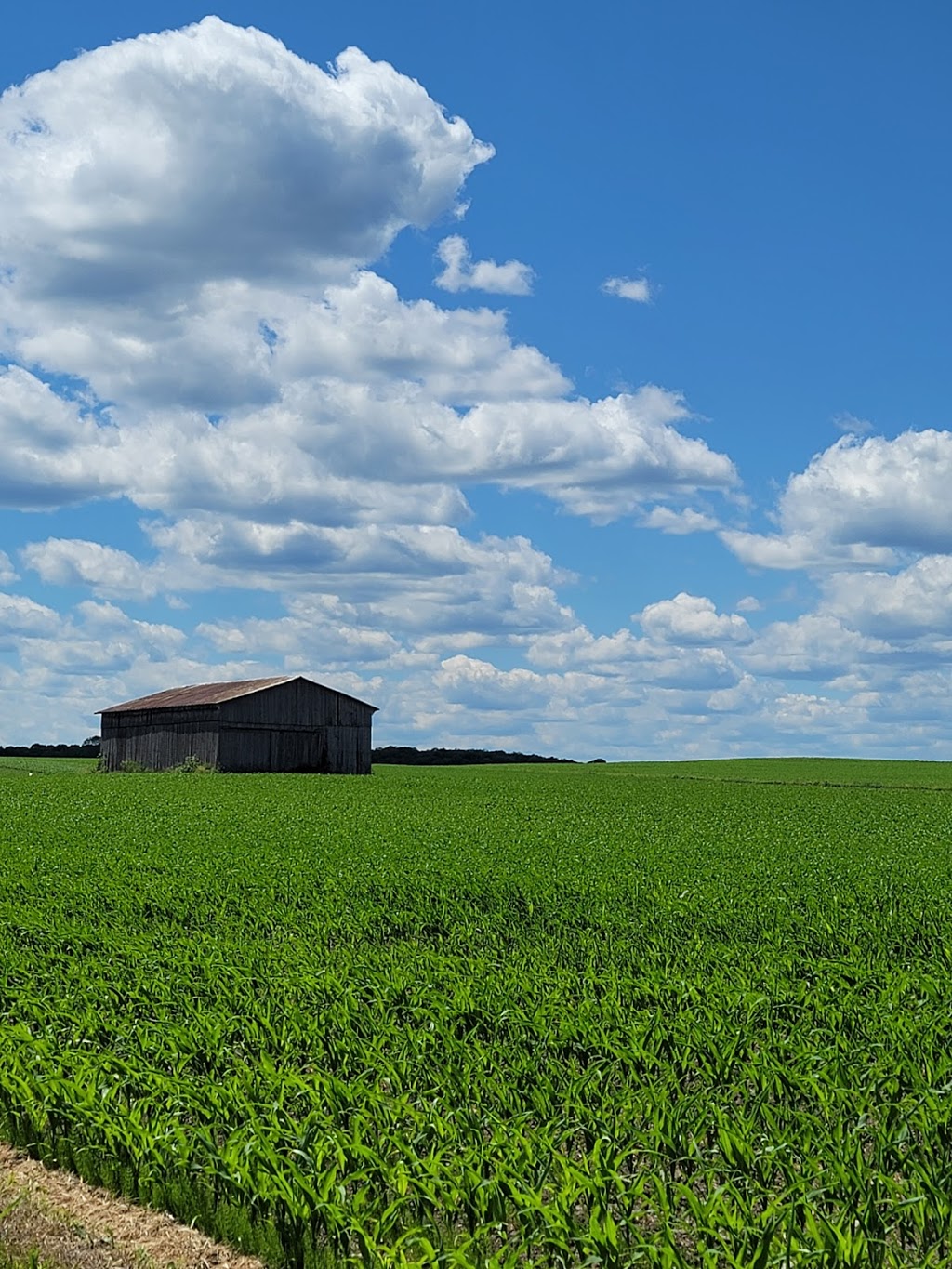 Ferme Perron (La) | 2477 Rang Saint-Jacques, Saint-Jacques, QC J0K 2R0, Canada | Phone: (450) 839-6706