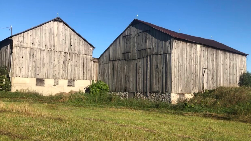 CARTWRIGHT FARMS | 5650 Shiloh Rd, Newtonville, ON L0A 1J0, Canada | Phone: (905) 983-9471
