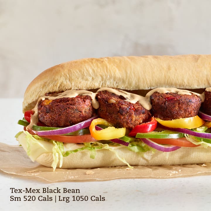 Mr.Sub | 114 Sydenham St, Flesherton, ON N0C 1E0, Canada | Phone: (519) 924-2220