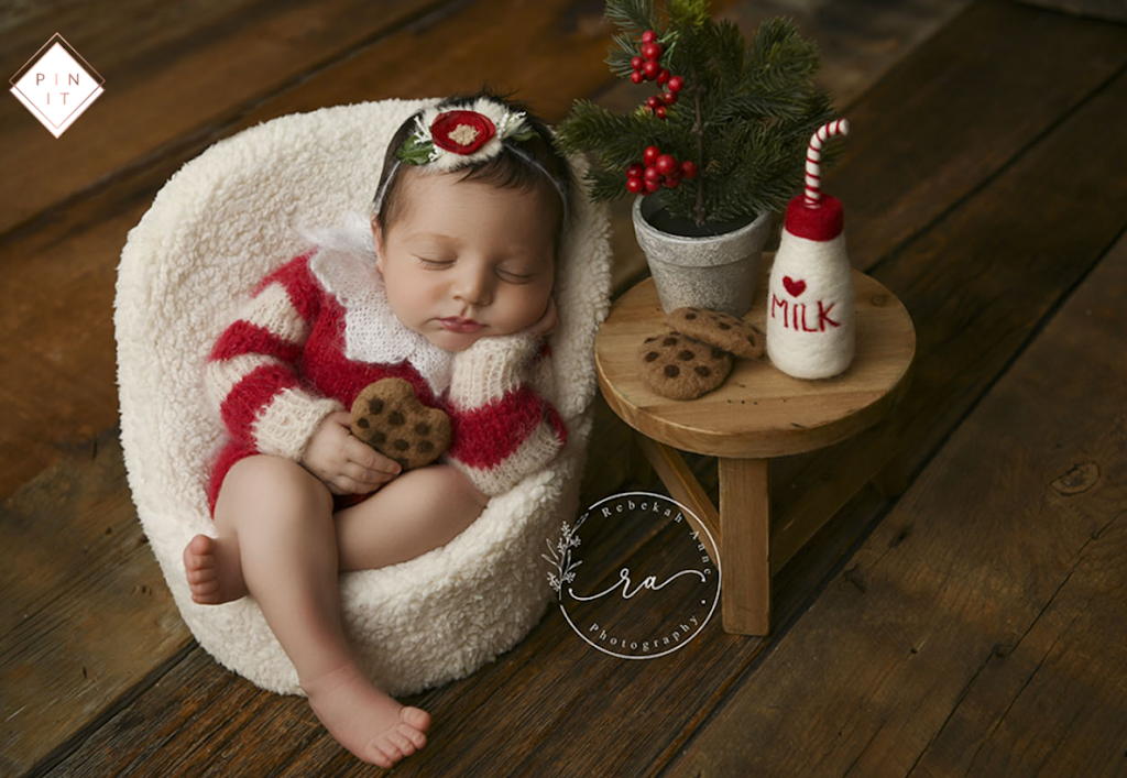 Rebekah Anne Photography | 351 Rock Chapel Rd, Dundas, ON L9H 5E2, Canada | Phone: (905) 407-0524