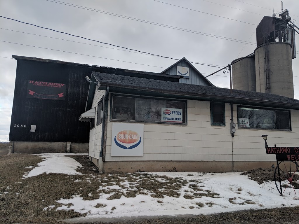 Hathaway Custom Feed | 1950 Elizabeth St, Melbourne, ON N0L 1T0, Canada | Phone: (519) 476-0396