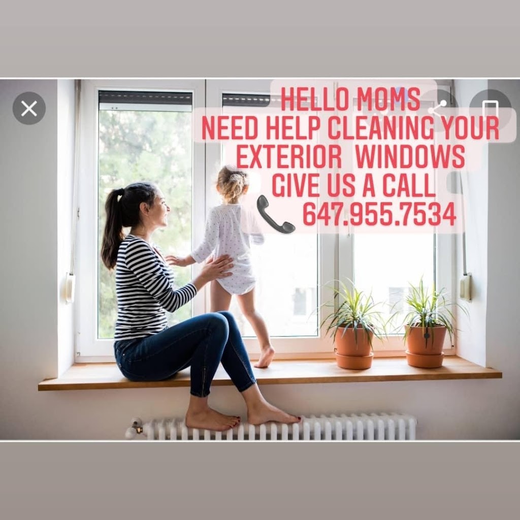 Glorious Light Window & Eaves Cleaning | 118 Lomar Dr, Toronto, ON M3N 1Z4, Canada | Phone: (647) 955-7534