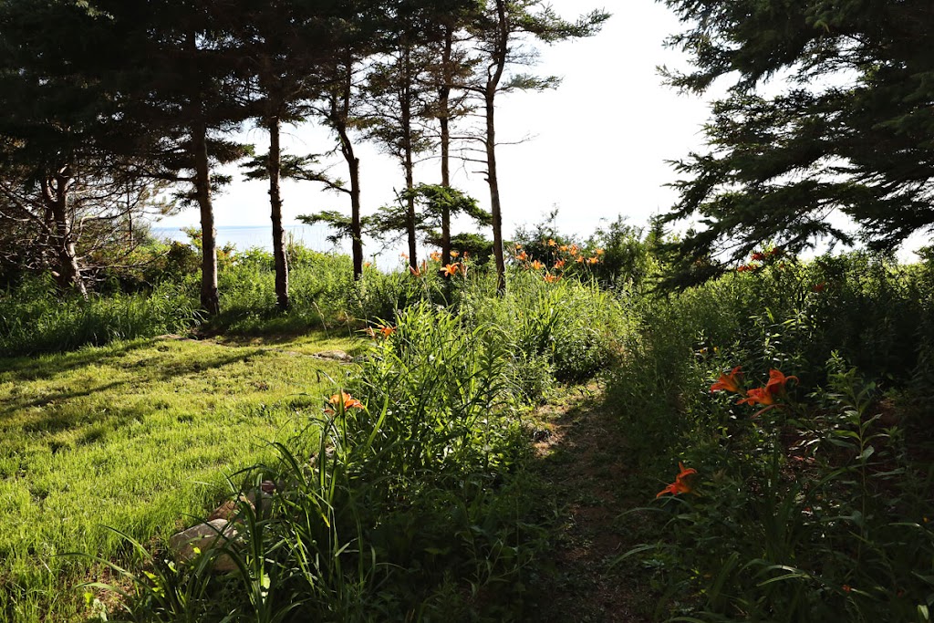 BEARDMANS Art House by the Sea | 3465 Route 19, Long Point, Judique, NS B9A 1A3, Canada | Phone: (902) 625-4579