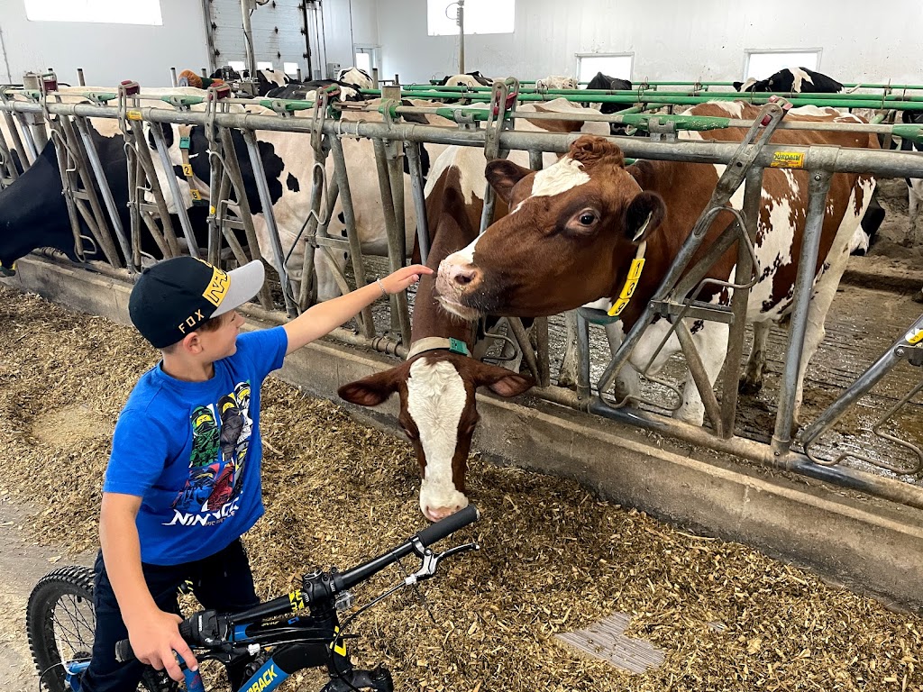 Ferme AMF Savard inc | 923 Rang Caron, Hébertville, QC G8N 1B5, Canada | Phone: (418) 669-0299