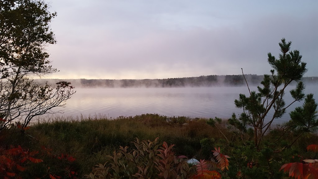 Lahave River Berry Farm Inc. | 5216 NS-332, Middle LaHave, NS B4V 3L9, Canada | Phone: (902) 766-4534