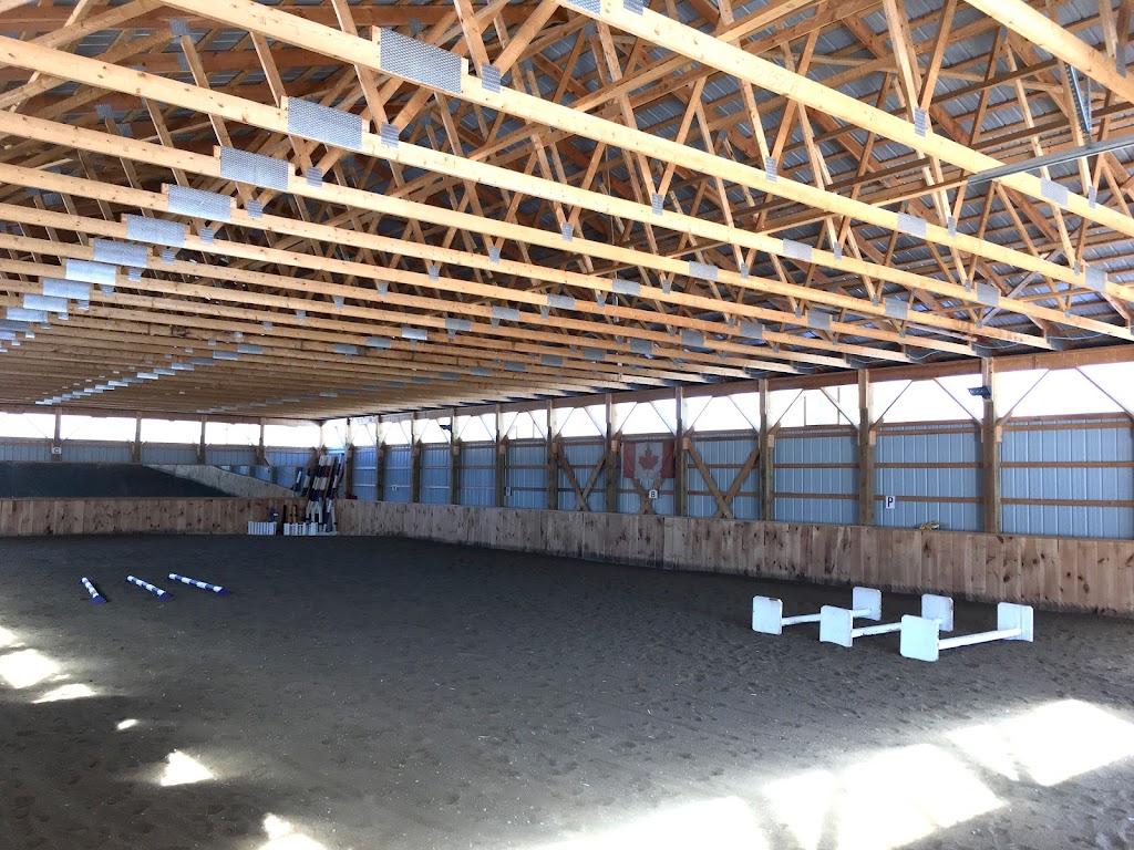 Silver Tree Stables | 121 Forest Park Rd, Pembroke, ON K8A 6W2, Canada | Phone: (613) 638-3155