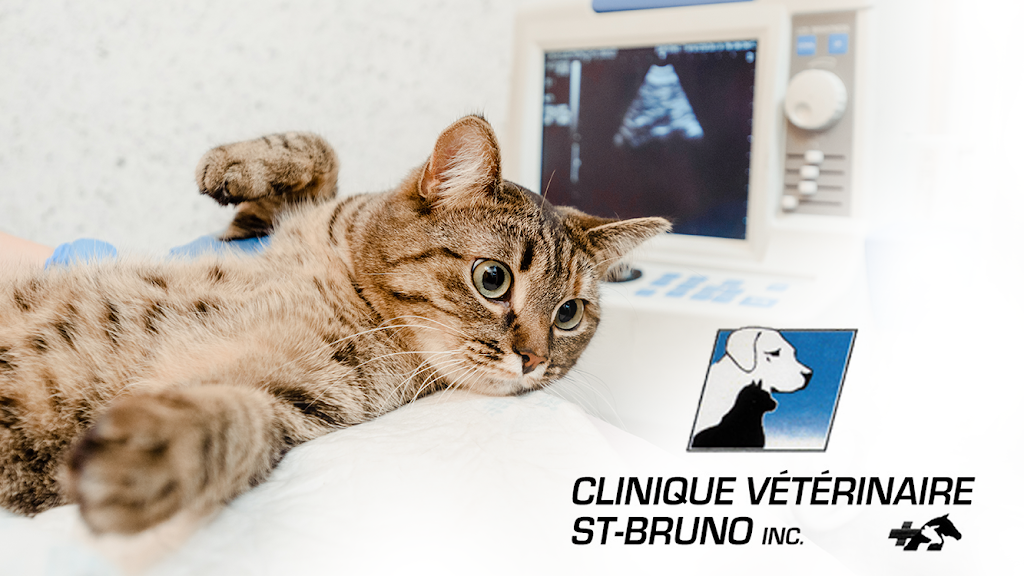 Clinique Veterinaire-St-Bruno | 27 Chem. de la Rabastalière E, Saint-Bruno-de-Montarville, QC J3V 2A4, Canada | Phone: (450) 441-6334