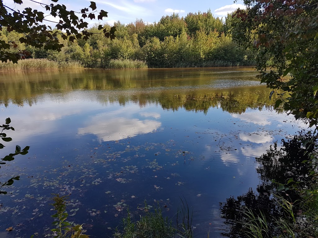 Parc Le Rocher | Rue Alfred, Saint-Amable, QC J0L 1N0, Canada