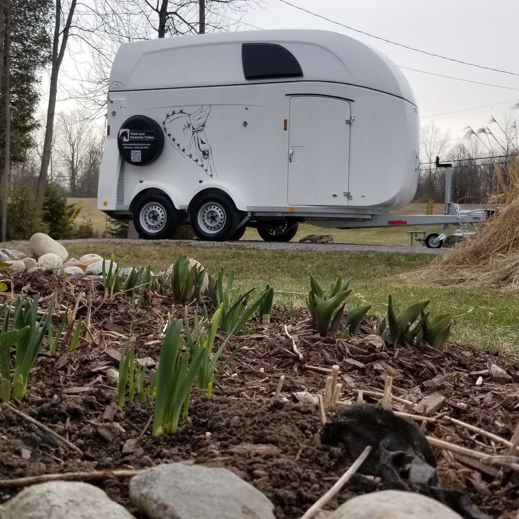 Maple Lane Equestrian Trailers | 4256 Lanark County Rd 43, Smiths Falls, ON K7A 4S4, Canada | Phone: (613) 284-0419