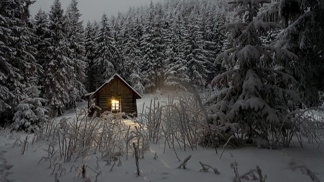 Tiny Home Geniuses | 775126 Blandford Rd, Woodstock, ON N4S 7V9, Canada | Phone: (519) 467-0275