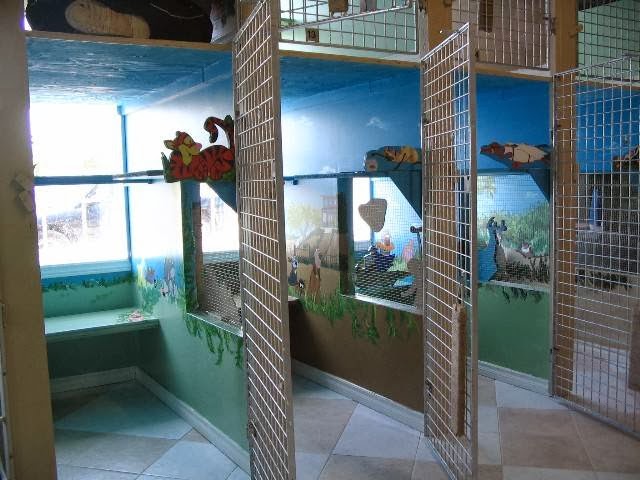Club Bekkers kennels | 3466 Burnhamthorpe Rd W, Oakville, ON L6M 4H3, Canada | Phone: (905) 827-2340