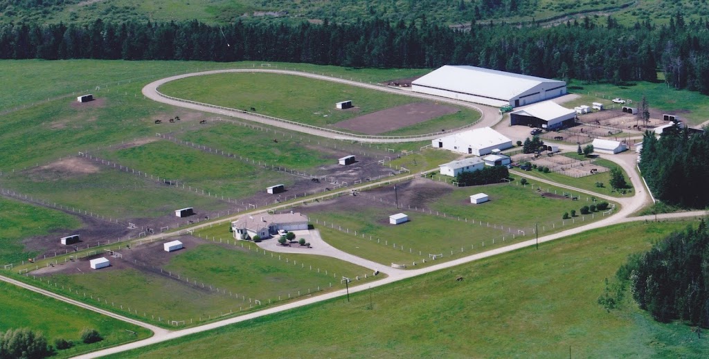 Eagle Hill Equine | RR#2, Site 6, Box 9, Olds, AB T4H 1P3, Canada | Phone: (403) 556-1195