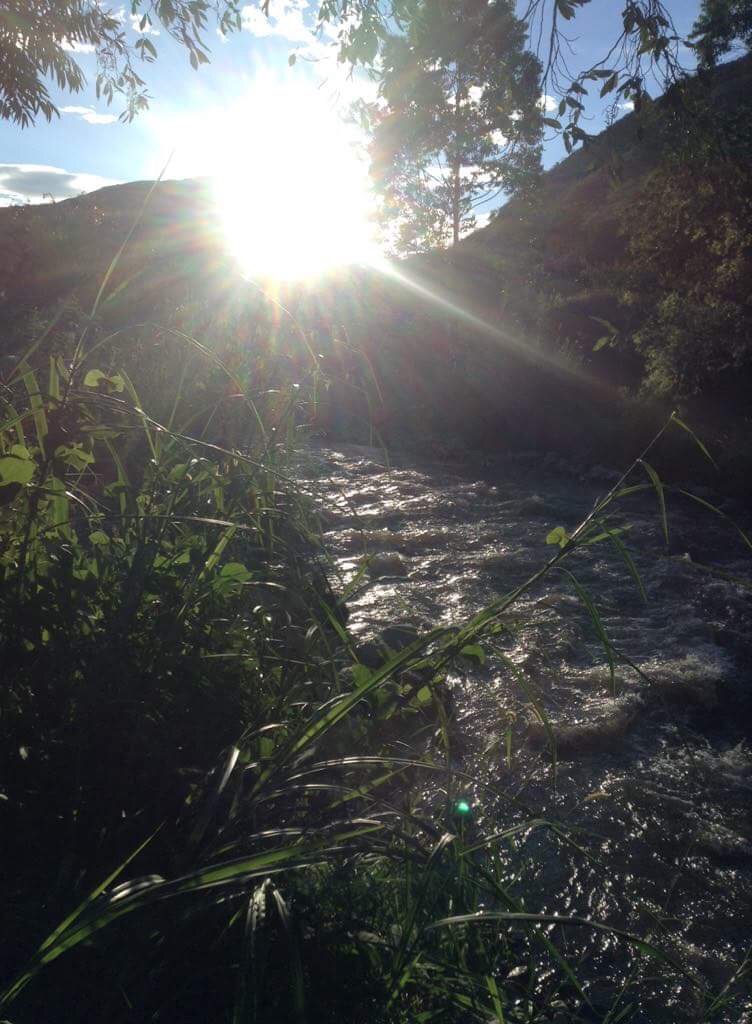Indigo Wellness and Yoga - Wendy Allan | 4174 Crozier Rd, Armstrong, BC V0E 1B6, Canada