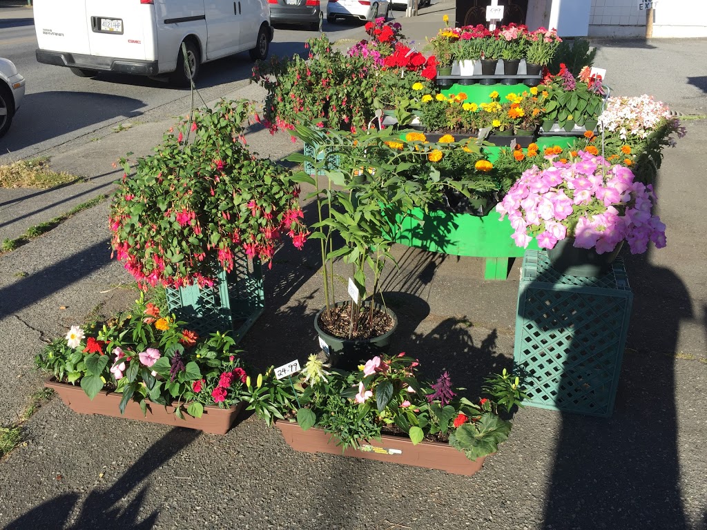 Canadian Food Market | 4378 Imperial St, Burnaby, BC V5J 1A9, Canada | Phone: (604) 563-0868