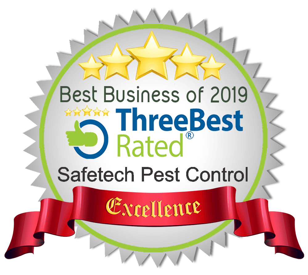 SAFETECH PEST CONTROL | 5153 Canuck Cres, Regina, SK S4W 0H1, Canada | Phone: (306) 351-2881
