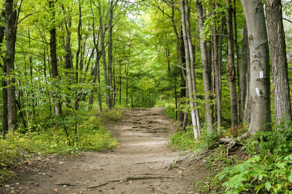 Vista Trail Trailhead | 1749 Meadowvale Rd, Scarborough, ON M1B 5W8, Canada | Phone: (416) 264-2020