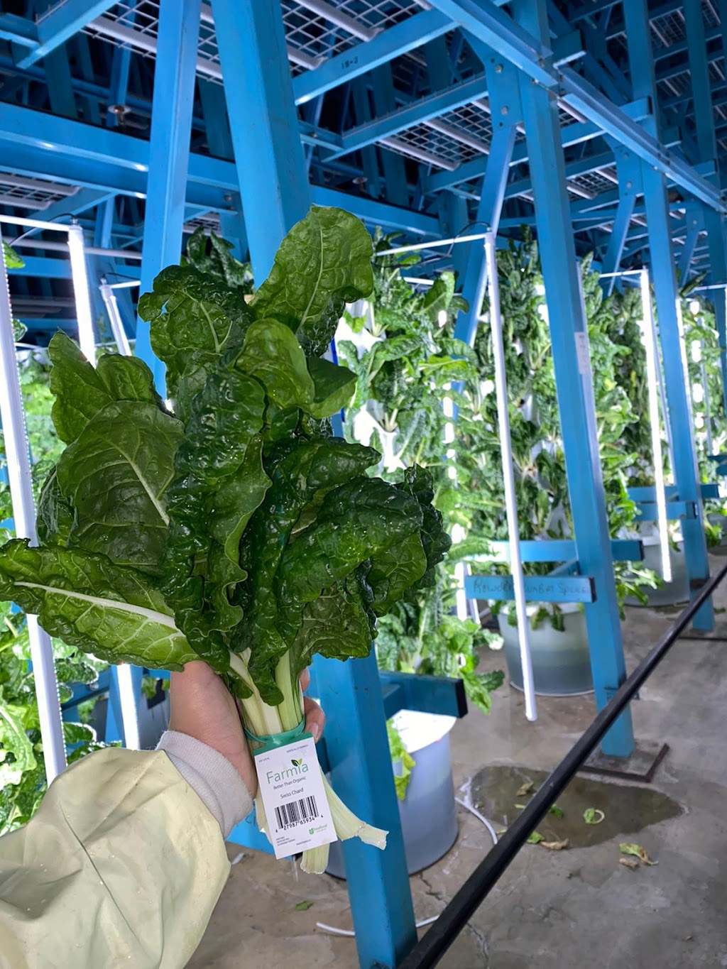 Farmia Agritech | 100 Kellogg Ln, London, ON N5W 2T5, Canada | Phone: (647) 990-0151