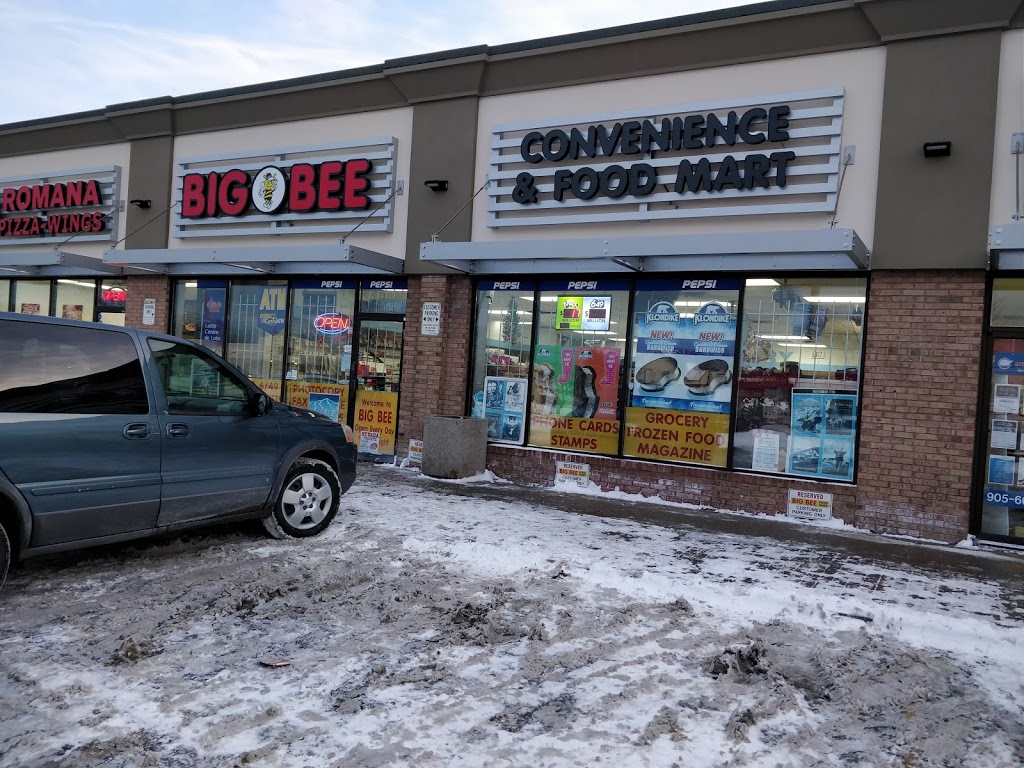 Big Bee Convenience & Foodmart | 910 Queenston Rd, Stoney Creek, ON L8G 1B5, Canada | Phone: (905) 664-8899