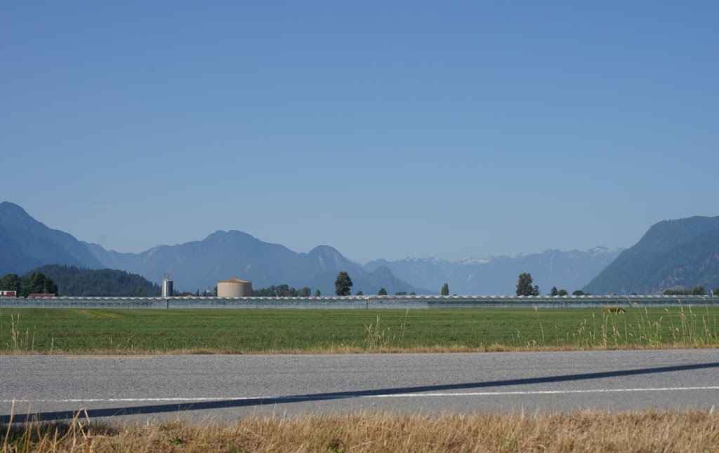 Doremi Blueberry Farm | 20006 Old Dewdney Trunk Rd, Pitt Meadows, BC V3Y 1Z1, Canada | Phone: (778) 886-9237