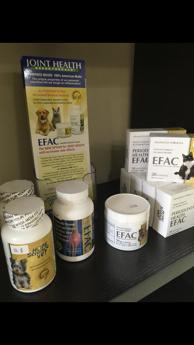 K9 Oral Hygiene | #1F 2753 Charlotte Road, Duncan, BC V9A 5J2, Canada | Phone: (250) 597-2275