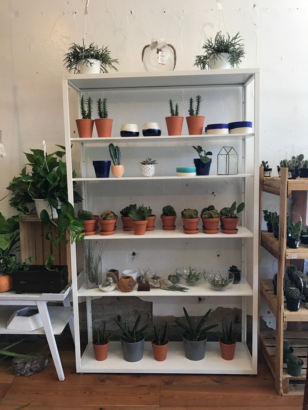 Urban Gardener | 1640 Dupont St, Toronto, ON M6P 3T2, Canada | Phone: (905) 626-6281