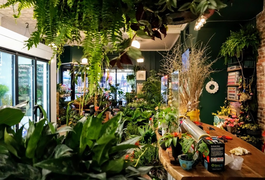 Lillipot - Boutique Florale | 3135 Rue Wellington, Verdun, QC H4G 1T2, Canada | Phone: (514) 507-2580