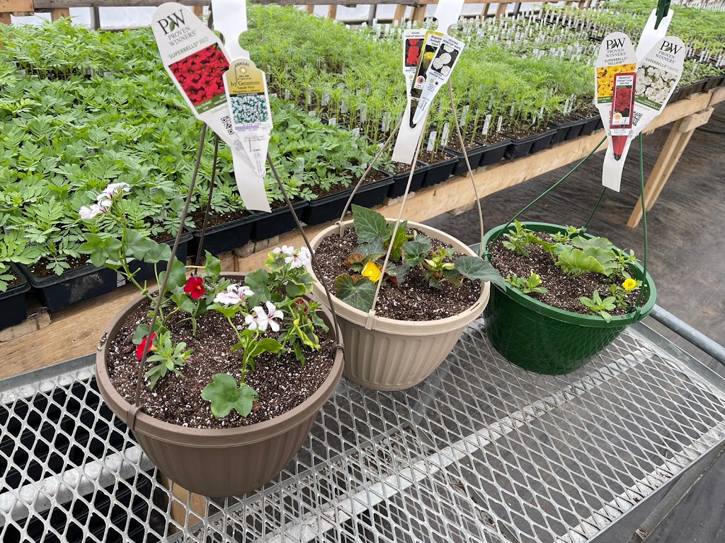 Ansari Organic Farms | 3502 Hwy 7, Norwood, ON K0L 2V0, Canada | Phone: (705) 957-8185