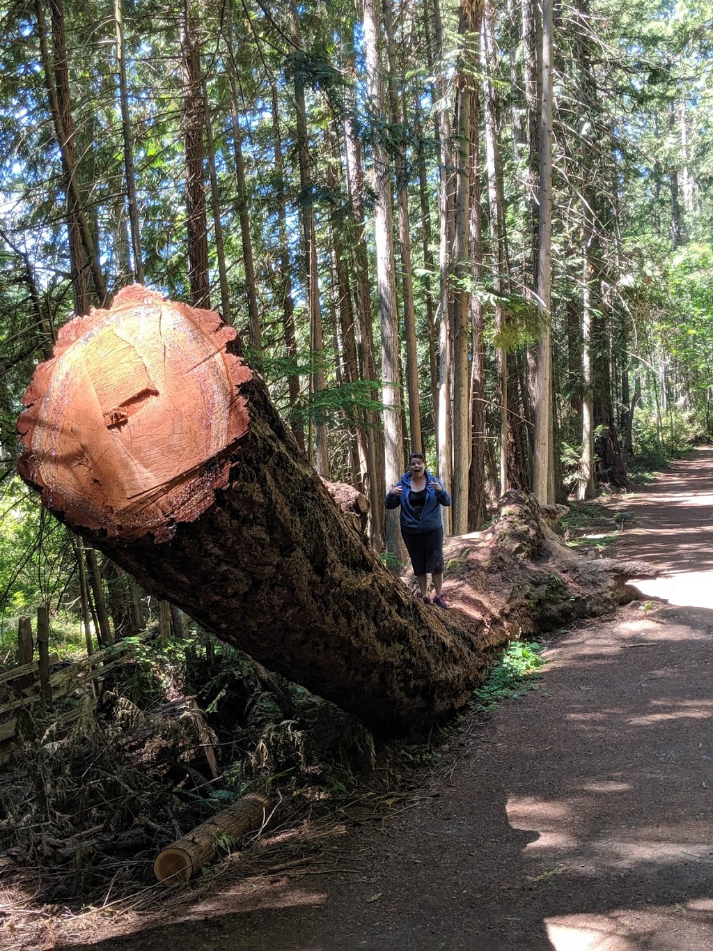 Hemer Provincial Park | Hwy 1, Nanaimo, BC V9X 1J3, Canada | Phone: (250) 474-1336