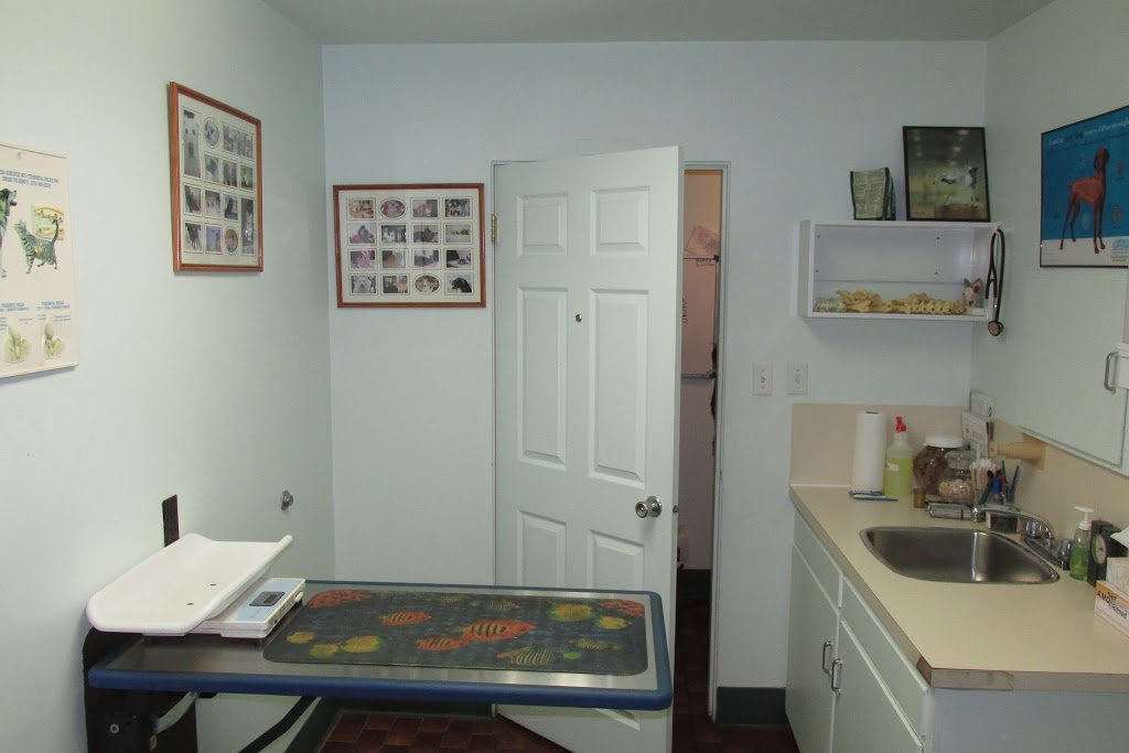 Allondale Animal Hospital | 14715 108 Ave, Surrey, BC V3R 1V9, Canada | Phone: (604) 581-0491