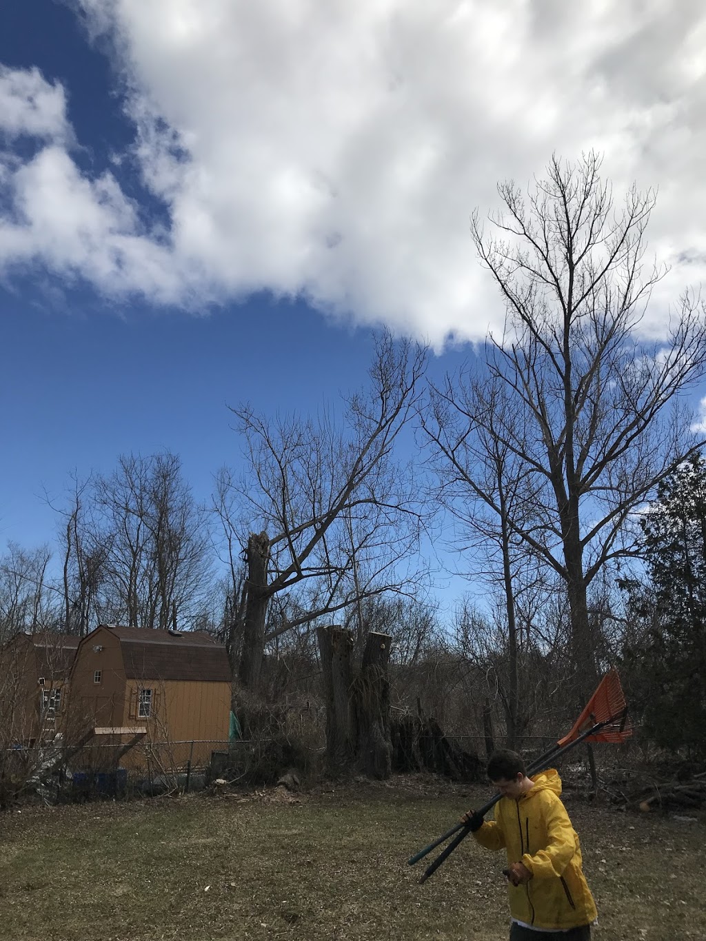 Green Leaf Tree Service | 2091 Kate Ave, Innisfil, ON L9S 1Y3, Canada | Phone: (705) 796-5629